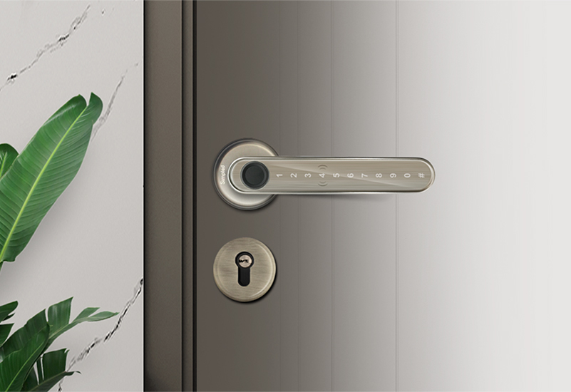 thumbprint door handle