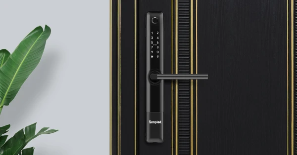 slim door locks for front doors