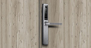 Weather-Resistant Design door lock